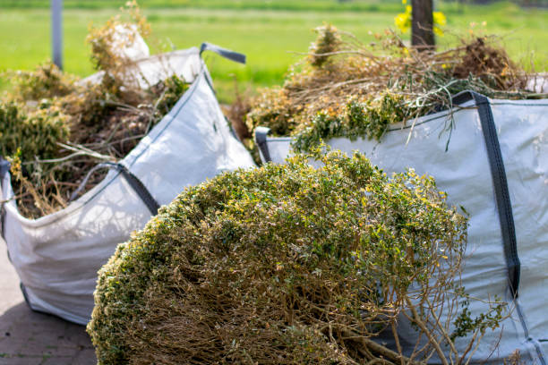 Best Recycling Services for Junk  in Shively, KY