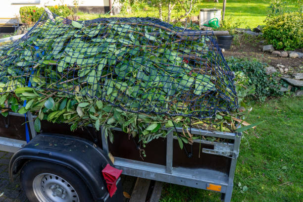 Best Recycling Services for Junk  in Shively, KY